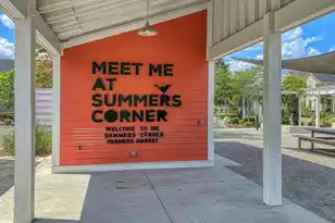 1017 Marsh Royal St, Summerville, SC 29485 - Photo 4