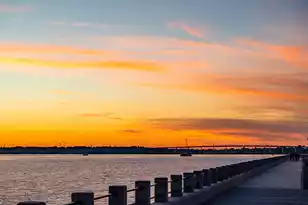 14 1/2 Murray Blvd, Charleston, SC 29401 - Photo 32