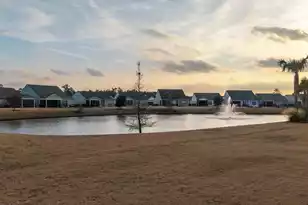 321 Bloomington Way, Summerville, SC 29486 - Photo 44