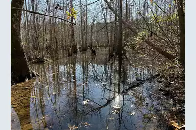 0 Highway 17A, Jamestown, SC 29453 - Photo 24