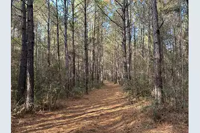 0 Highway 17A, Jamestown, SC 29453 - Photo 18