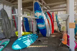 1472 Red Tide Rd, Mount Pleasant, SC 29466 - Photo 50