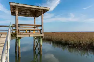 1472 Red Tide Rd, Mount Pleasant, SC 29466 - Photo 56