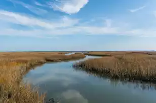 1472 Red Tide Rd, Mount Pleasant, SC 29466 - Photo 54