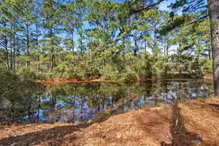 2156 Andover Way, Mount Pleasant, SC 29466 - Photo 38