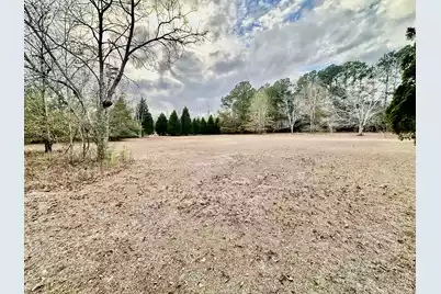 172 Marigold Road, Orangeburg, SC 29115 - Photo 6