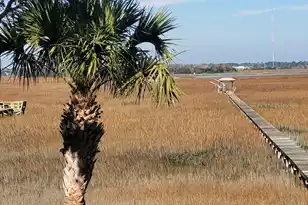 2720 Goldbug Ave, Sullivans Island, SC 29482 - Photo 10