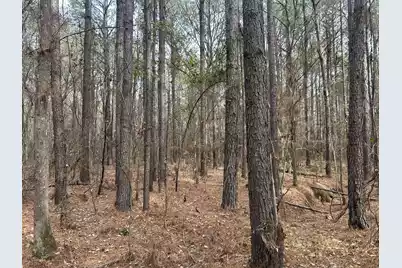 1465 Jakes Road, Turbeville, SC 29162 - Photo 20