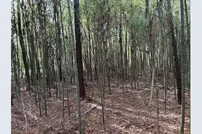 1465 Jakes Road, Turbeville, SC 29162 - Photo 30