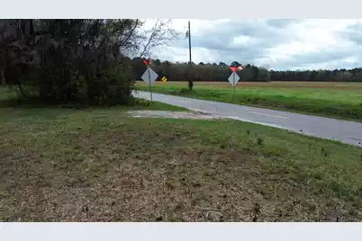 1465 Jakes Road, Turbeville, SC 29162 - Photo 30