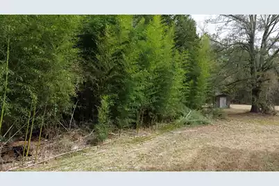 1465 Jakes Road, Turbeville, SC 29162 - Photo 20