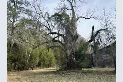 1465 Jakes Road, Turbeville, SC 29162 - Photo 24