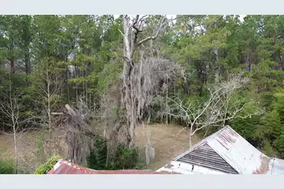 1465 Jakes Road, Turbeville, SC 29162 - Photo 8