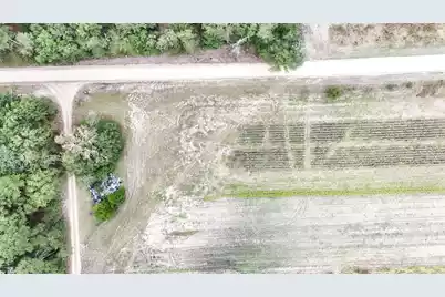 0000 Chavis Road, Blackville, SC 29817 - Photo 10