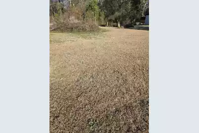 0 Bass Drive, Holly Hill, SC 29059 - Photo 1