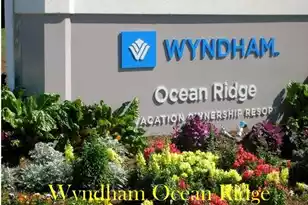 796 Summerwind Cir, Edisto Island, SC 29438 - Photo 52