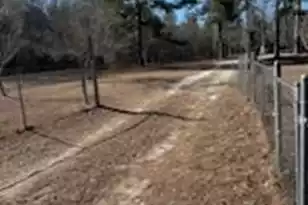 481 Butler Dr, Livingston, SC 29107 - Photo 22