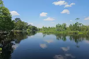 757 Back Field Rd, Walterboro, SC 29488 - Photo 92