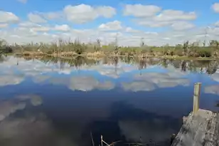 757 Back Field Rd, Walterboro, SC 29488 - Photo 1