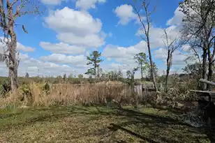 757 Back Field Rd, Walterboro, SC 29488 - Photo 88