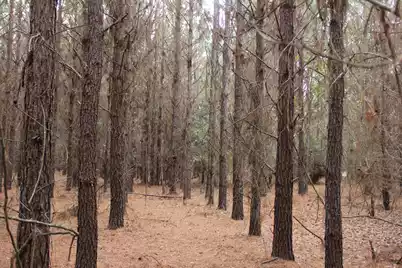 00 Raymond Rd Road, Orangeburg, SC 29118 - Photo 2