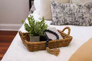 348 King St, Charleston, SC 29401 - Photo 8