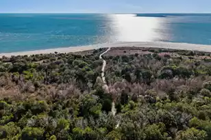 1508 Poe Ave, Sullivans Island, SC 29482 - Photo 6