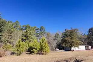 6080 Cayce Rd, Lodge, SC 29082 - Photo 4