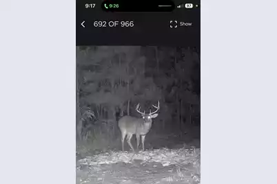 Tbd House Road, Summerton, SC 29148 - Photo 18