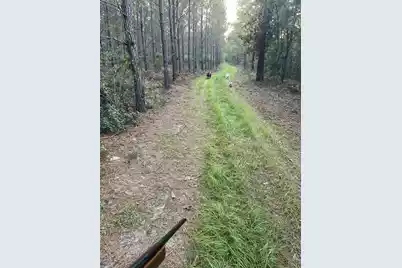 Tbd House Road, Summerton, SC 29148 - Photo 6