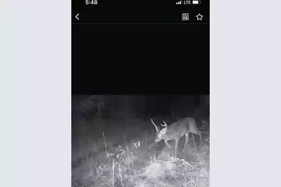 Tbd House Road, Summerton, SC 29148 - Photo 22