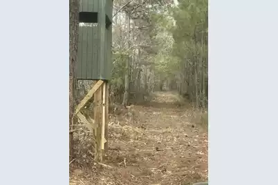 Tbd House Road, Summerton, SC 29148 - Photo 4