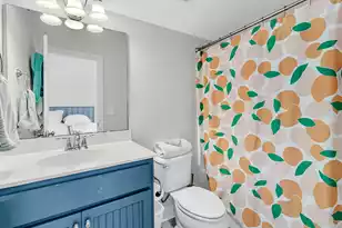 4066 Blackmoor St, Mount Pleasant, SC 29466 - Photo 52