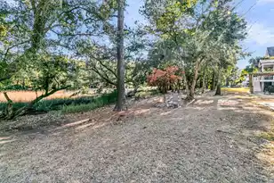 4066 Blackmoor St, Mount Pleasant, SC 29466 - Photo 66