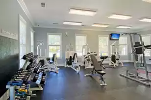 4066 Blackmoor St, Mount Pleasant, SC 29466 - Photo 60