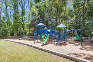 4066 Blackmoor St, Mount Pleasant, SC 29466 - Photo 90