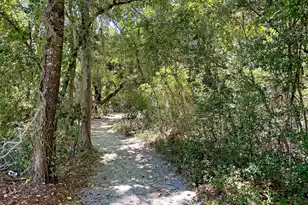 4066 Blackmoor St, Mount Pleasant, SC 29466 - Photo 64