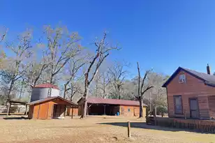 4233 Mt Nebo Rd, Lodge, SC 29082 - Photo 14