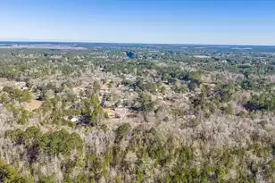 325 Linden Ct, Moncks Corner, SC 29461 - Photo 84