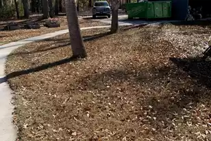 1519 Kenwood Rd, Manning, SC 29102 - Photo 18