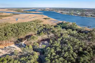 815 Yaupon Dr, Charleston, SC 29492 - Photo 34