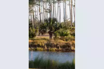 809 Roddin Street, Daniel Island, SC 29492 - Photo 70