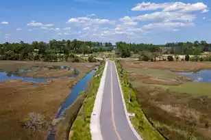 809 Roddin St, Daniel Island, SC 29492 - Photo 60