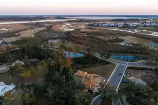 809 Roddin St, Daniel Island, SC 29492 - Photo 74