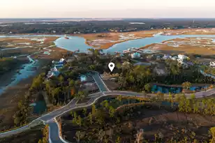 809 Roddin St, Daniel Island, SC 29492 - Photo 66