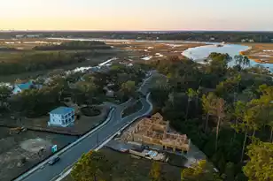 809 Roddin St, Daniel Island, SC 29492 - Photo 80