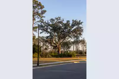 809 Roddin Street, Daniel Island, SC 29492 - Photo 74