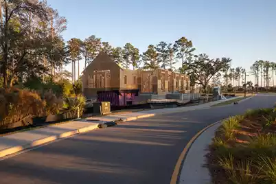 809 Roddin Street, Daniel Island, SC 29492 - Photo 54