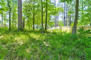 207 Woodlawn St, Walterboro, SC 29488 - Photo 40