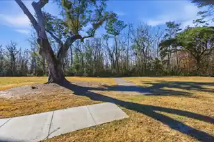 147 Claret Cup Wy, Charleston, SC 29414 - Photo 38